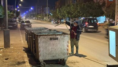 Photo of جماعة أيت عميرة تُباشر حملة ميدانية لمحاربة نواقل الأمراض بالنقط السوداء